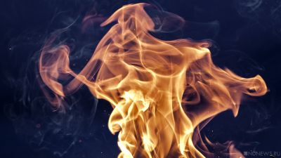 На Ямале зафиксировано 37 умышленных поджогов