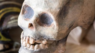 На Сахалине нашли скелет человека