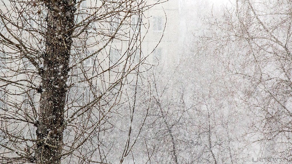 К Москве приближается трехдневный снежный ураган