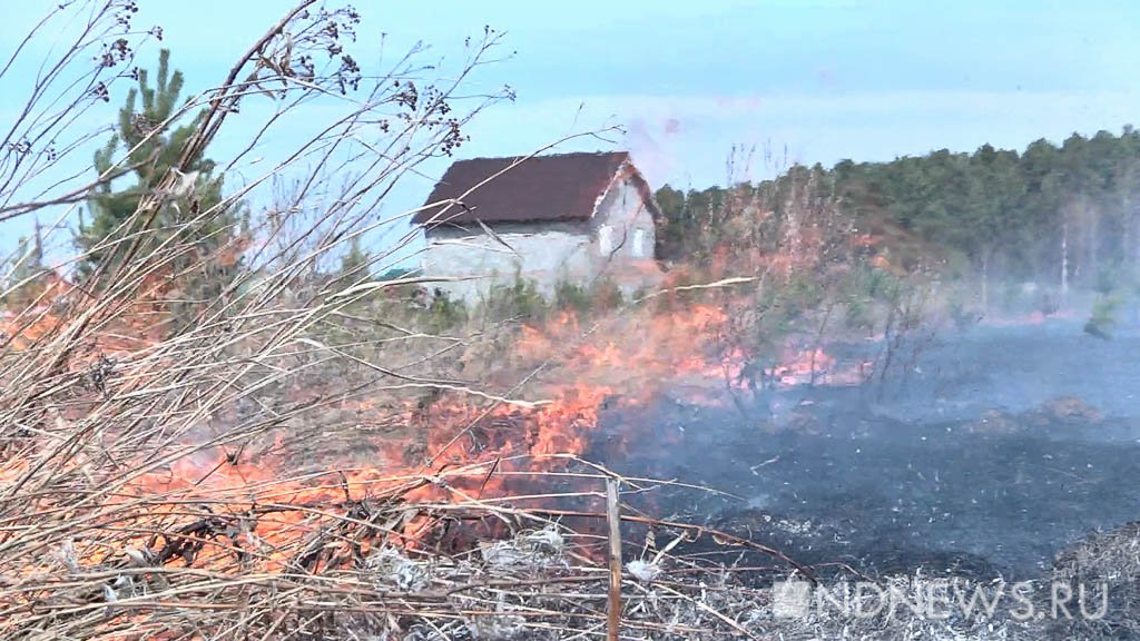 Из поселка Стриганово под Режом эвакуировали нескольких жителей: пожар подступал к домам