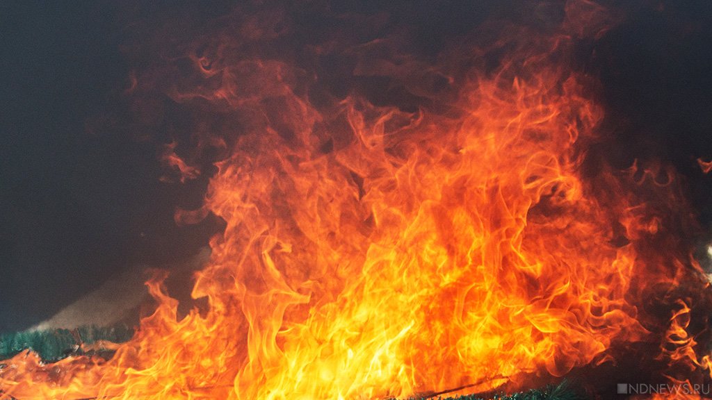 Следкомитет выясняет причины пожара на территории бывшего завода в Подольске