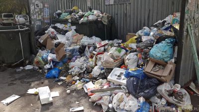 В России раздельный сбор мусора обеспечат почти для половины россиян за год