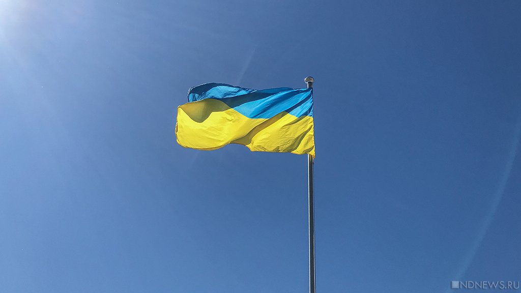 «Безумие и безответственность»: действующий киевский режим никогда не подпишет мирный договор с Москвой