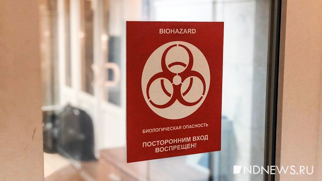 В России за сутки коронавирусом заболели 11,4 тыс. человек