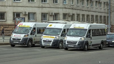 Частные перевозчики заявили о повышении стоимости проезда в Челябинске