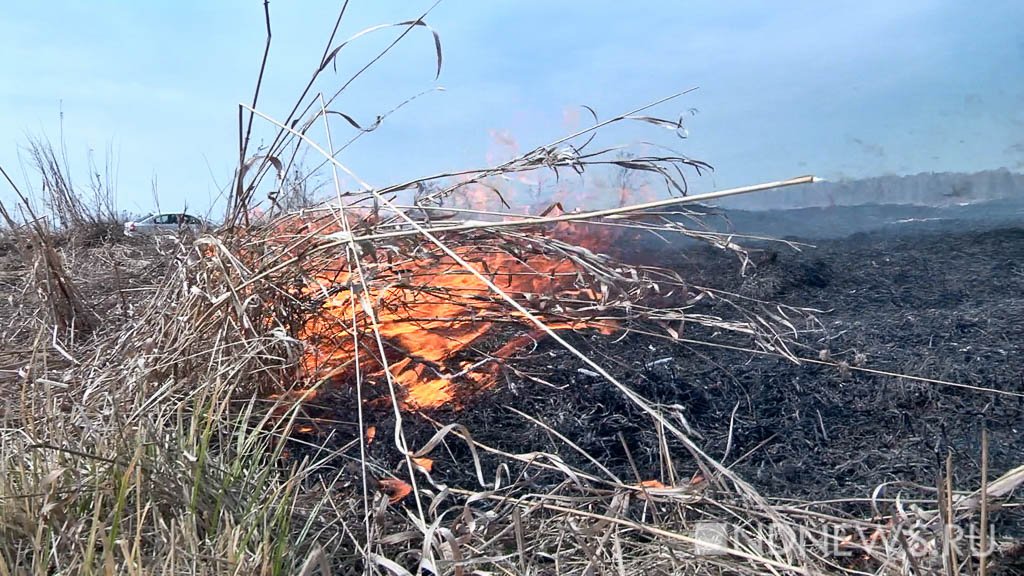 Площадь выгоревших лесов в Свердловской области увеличилось вдвое
