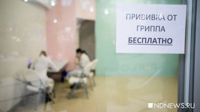 Грипп в Свердловской области ждут в конце ноября