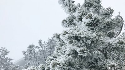 В Челябинской области снег и заморозки