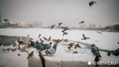 На Среднем Урале оттепель сменят тридцатиградусные морозы
