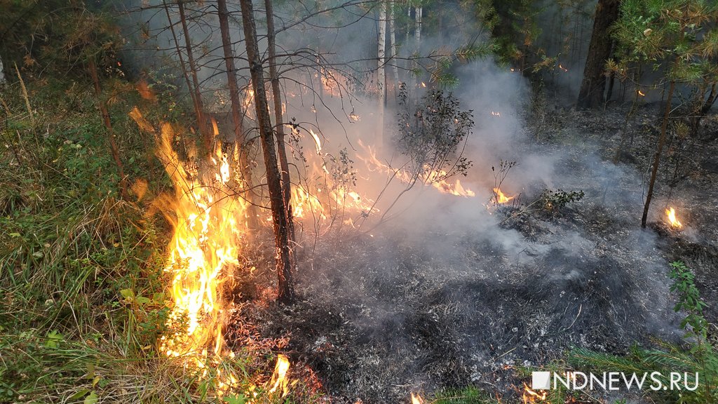 В Свердловской области горят 4,4 тысячи гектаров леса