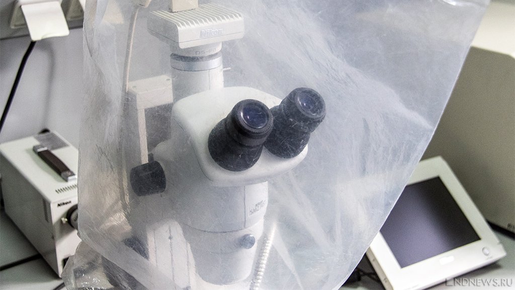 Ученые сделали ароматизатор для мороженого из пластикового мусора