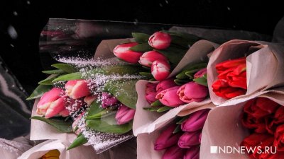 В Екатеринбурге судят курганца, продававшего несуществующие тюльпаны к 8 Марта