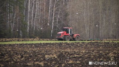 Россия опередила США по производству удобрений
