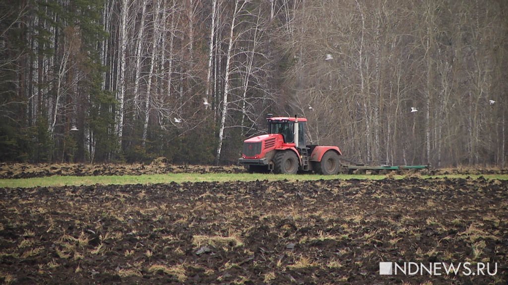 Россельхознадзор: новых отравленных пестицидами земель на Урале не появилось