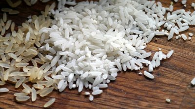 Индия собирается запретить экспорт большинства сортов риса