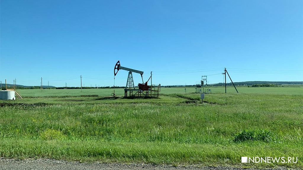 Прокуратура заставит «Газпромнефть-Ноябрьскнефтегаз» заплатить 12 млн рублей за разлив нефти в лесу