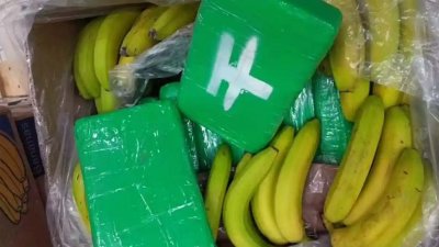 Почти тонна кокаина попала в супермаркеты Чехии в ящиках с бананами