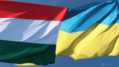 Венгерские фермеры объявили о блокаде КПП на границе в Украиной