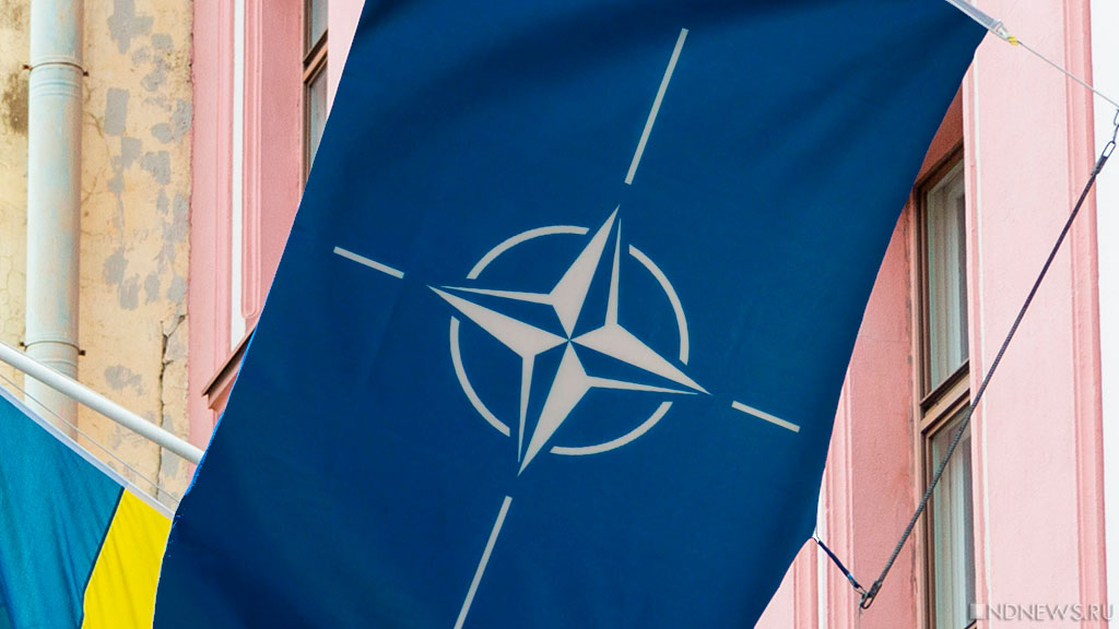 НАТО проанализирует закупки вооружений минобороны Украины