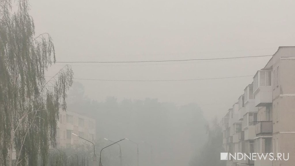 Реж уже неделю в дыму: теперь горит лес рядом с поселком Костоусово (ФОТО)