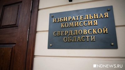Свердловчане жалуются на кандидатов, которые портят дома агитацией