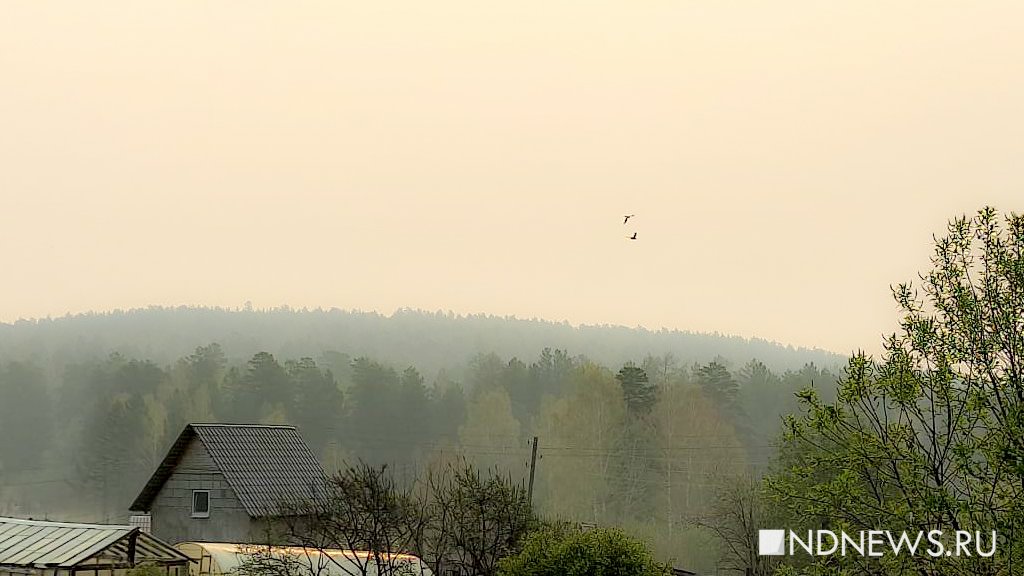 Север Свердловской области накрыло смогом