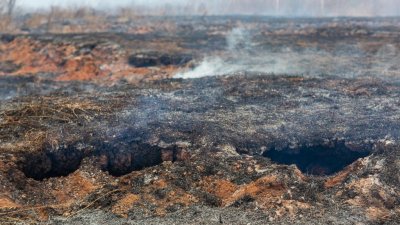 В окрестностях Сосьвы потушен глубинный торфяной пожар (ФОТО)