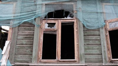 Число крымчан, заявивших об ущербе от ураганом, выросло в полтора раза