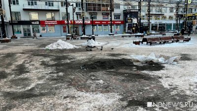 Екатеринбуржцы недоумевают по поводу вида главной пешеходной улицы (ФОТО)