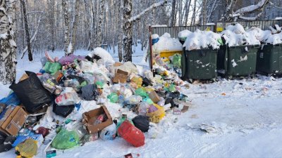 «Не вывозят с прошлого года»: в Челябинске продолжается мусорный коллапс