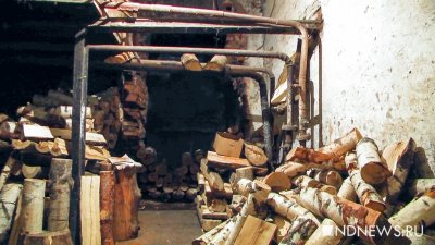 На Украине начали создавать резервные запасы древесины к зиме