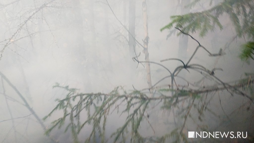 Природный пожар под Березовским оперативно потушили