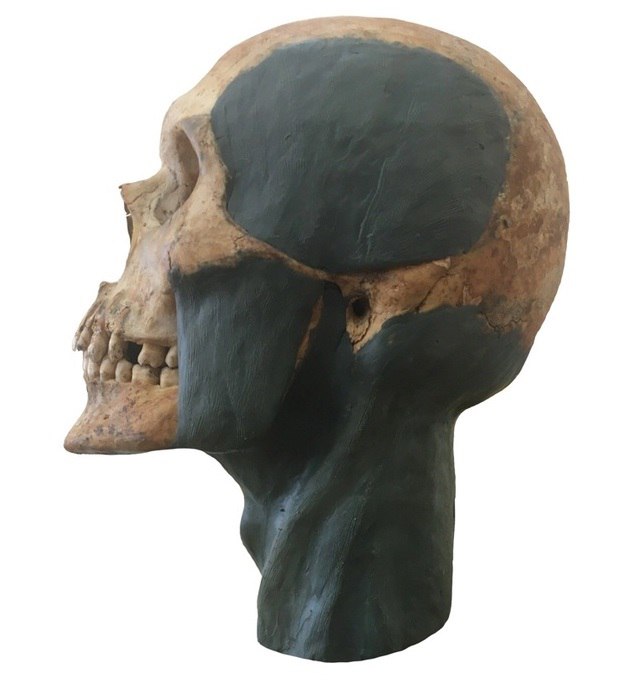 Студентка УрФУ по черепу восстановила внешность человека, похороненного на площади 1905 года (ФОТО)