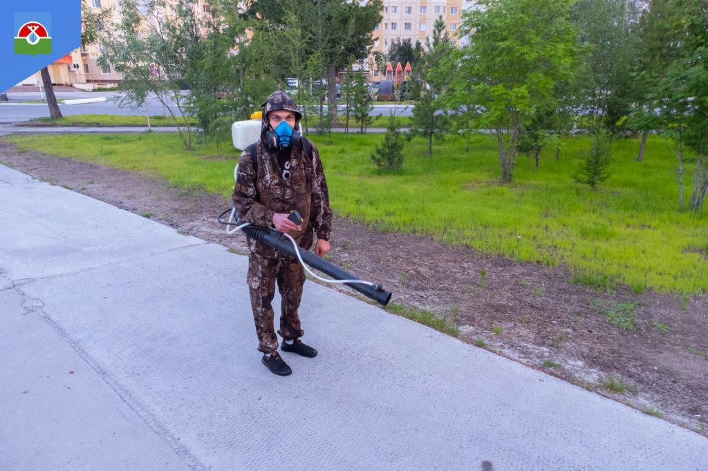 В Надыме парки и улицы обрызгали от комаров и мошек