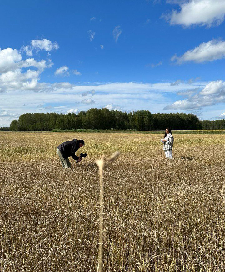 «Вывозим же!» – российские фермеры рассказывают о десятилетии под санкциями (ФОТО, ВИДЕО)