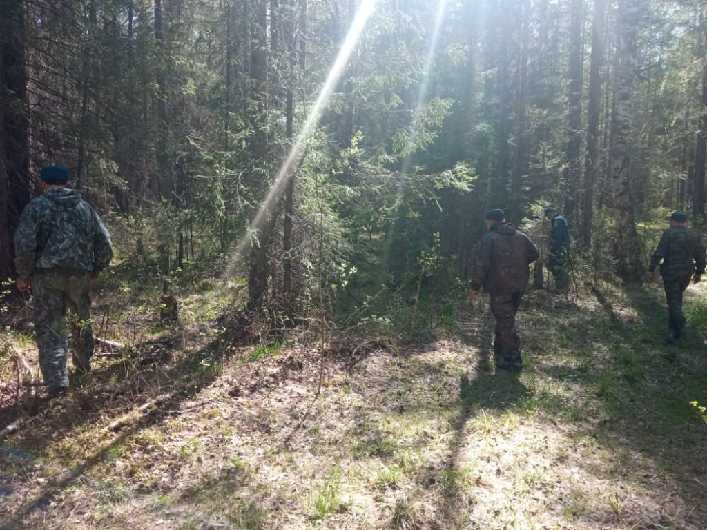 Новый День: В уральских лесах ищут троих пропавших
