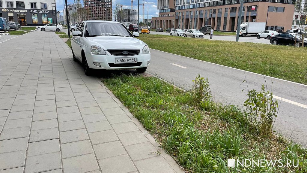Новый День: Парковка на тротуаре или газоне: как наказать автохама (ФОТО)