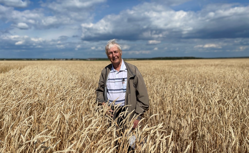 Новый День: На Урале вывели сорт пшеницы с урожайностью 8 тонн с гектара (ФОТО)