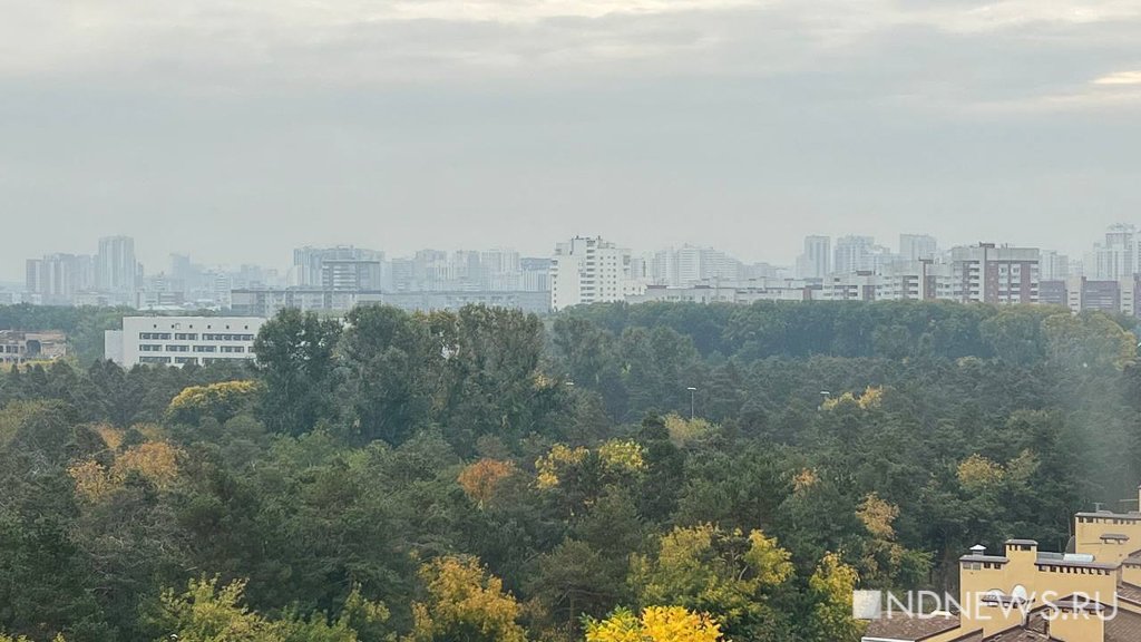 Новый День: Екатеринбург затянуло смогом. Вокруг города горят леса (ФОТО)