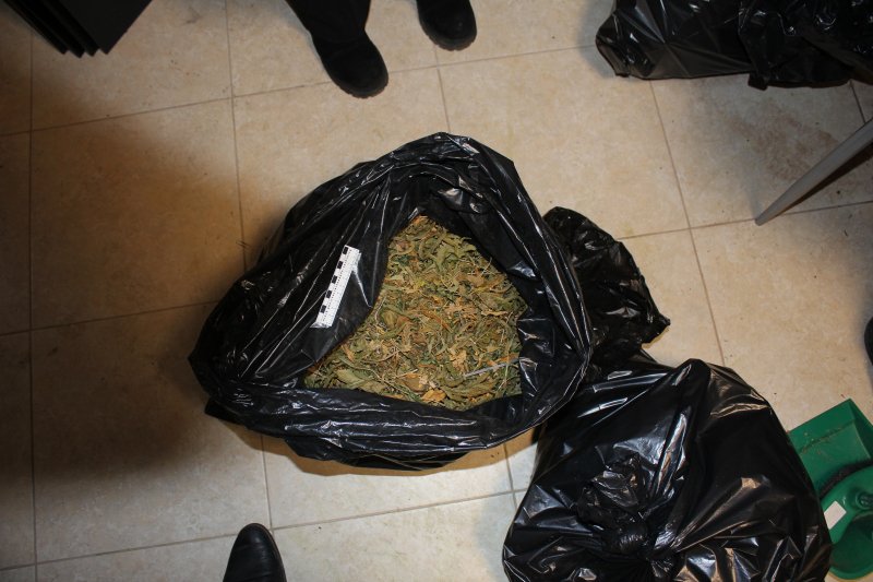 Новый День: В частном доме в СНТ обнаружена плантация марихуаны (ФОТО)