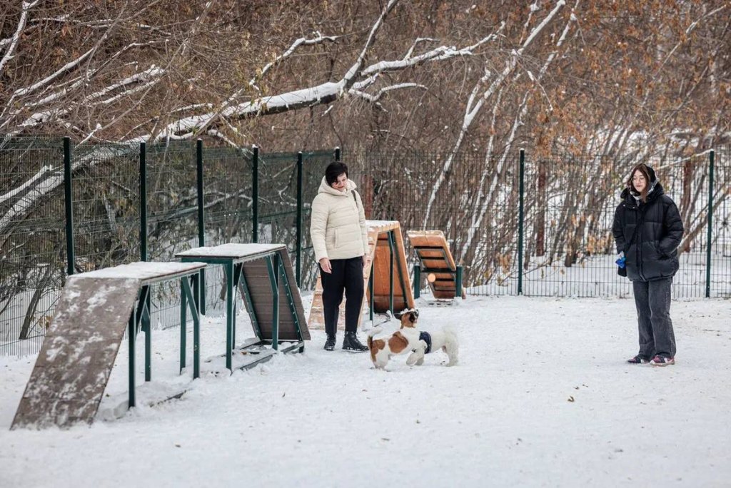 Новый День: В Екатеринбурге на месте нелегальной парковки открыли площадку для выгула собак (ФОТО, ВИДЕО)