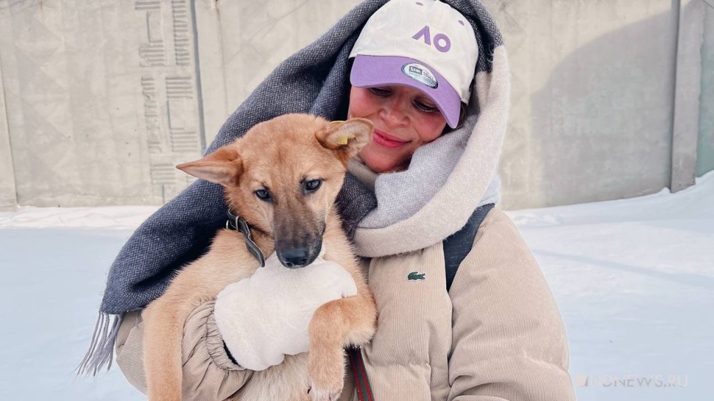 Новый День: Горожане устроили фотосессию с бездомными собаками (ФОТО)