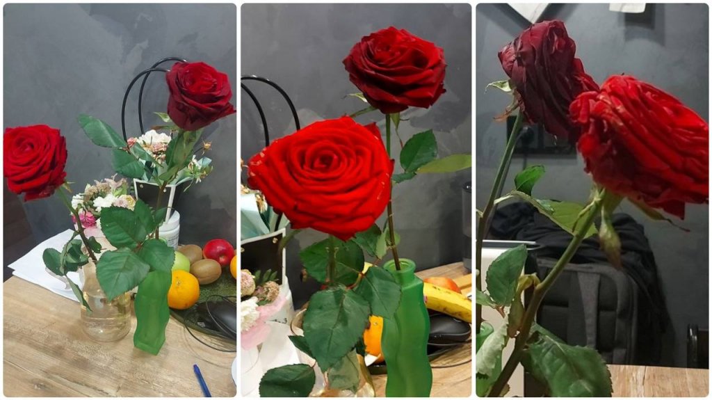 Новый День: Екатеринбурженка проверила лайфхак с розами и спрайтом (ФОТО)